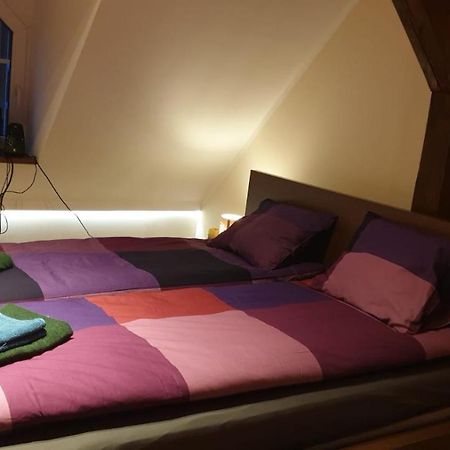 Apartamenty Hetmanska - 24H Shop Katoviçe Dış mekan fotoğraf