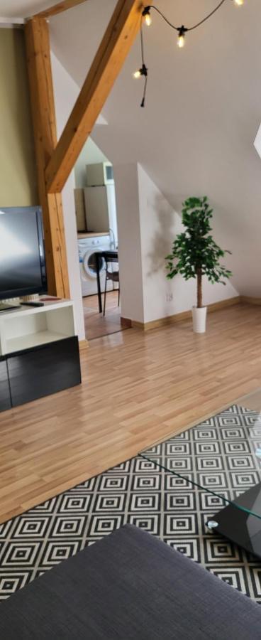Apartamenty Hetmanska - 24H Shop Katoviçe Dış mekan fotoğraf